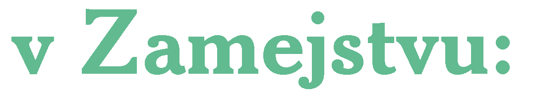 SLOVENCI V ZAMEJSTVU